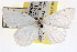  ( - CCDB-22975-C09)  @11 [ ] CreativeCommons - Attribution (2014) CBG Photography Group Centre for Biodiversity Genomics