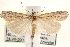  ( - CCDB-22975-E07)  @13 [ ] CreativeCommons - Attribution (2014) CBG Photography Group Centre for Biodiversity Genomics