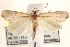  ( - CCDB-22975-E09)  @12 [ ] CreativeCommons - Attribution (2014) CBG Photography Group Centre for Biodiversity Genomics