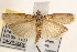 ( - CCDB-22975-E10)  @14 [ ] CreativeCommons - Attribution (2014) CBG Photography Group Centre for Biodiversity Genomics