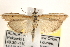  ( - CCDB-22975-E11)  @14 [ ] CreativeCommons - Attribution (2014) CBG Photography Group Centre for Biodiversity Genomics