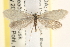  ( - CCDB-22975-G05)  @15 [ ] CreativeCommons - Attribution (2014) CBG Photography Group Centre for Biodiversity Genomics