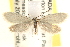  ( - CCDB-22975-G06)  @15 [ ] CreativeCommons - Attribution (2014) CBG Photography Group Centre for Biodiversity Genomics