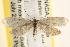  ( - CCDB-22975-G07)  @14 [ ] CreativeCommons - Attribution (2014) CBG Photography Group Centre for Biodiversity Genomics