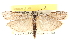  ( - CCDB-22976-B09)  @11 [ ] CreativeCommons - Attribution (2014) CBG Photography Group Centre for Biodiversity Genomics