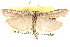  ( - CCDB-22976-B10)  @11 [ ] CreativeCommons - Attribution (2014) CBG Photography Group Centre for Biodiversity Genomics