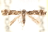  ( - CCDB-22976-B12)  @13 [ ] CreativeCommons - Attribution (2014) CBG Photography Group Centre for Biodiversity Genomics
