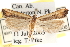  ( - CCDB-22976-C09)  @14 [ ] CreativeCommons - Attribution (2014) CBG Photography Group Centre for Biodiversity Genomics
