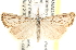  ( - CCDB-22976-D01)  @15 [ ] CreativeCommons - Attribution (2014) CBG Photography Group Centre for Biodiversity Genomics