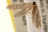  ( - CCDB-22977-C03)  @12 [ ] CreativeCommons - Attribution (2014) CBG Photography Group Centre for Biodiversity Genomics