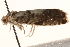  ( - CCDB-22977-E05)  @13 [ ] CreativeCommons - Attribution (2014) CBG Photography Group Centre for Biodiversity Genomics