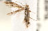  ( - CCDB-22978-A10)  @11 [ ] CreativeCommons - Attribution (2014) CBG Photography Group Centre for Biodiversity Genomics