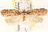  ( - CCDB-22978-C11)  @14 [ ] CreativeCommons - Attribution (2014) CBG Photography Group Centre for Biodiversity Genomics