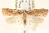  ( - CCDB-22978-C12)  @14 [ ] CreativeCommons - Attribution (2014) CBG Photography Group Centre for Biodiversity Genomics