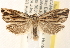  ( - CCDB-22978-F09)  @13 [ ] CreativeCommons - Attribution (2014) CBG Photography Group Centre for Biodiversity Genomics