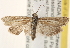 ( - CCDB-22979-A02)  @14 [ ] CreativeCommons - Attribution (2014) CBG Photography Group Centre for Biodiversity Genomics