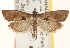  ( - CCDB-22979-C07)  @14 [ ] CreativeCommons - Attribution (2014) CBG Photography Group Centre for Biodiversity Genomics