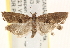  ( - CCDB-22979-C09)  @13 [ ] CreativeCommons - Attribution (2014) CBG Photography Group Centre for Biodiversity Genomics