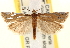  ( - CCDB-22979-D02)  @11 [ ] CreativeCommons - Attribution (2014) CBG Photography Group Centre for Biodiversity Genomics