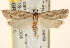  ( - CCDB-22979-D06)  @14 [ ] CreativeCommons - Attribution (2014) CBG Photography Group Centre for Biodiversity Genomics