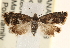 ( - CCDB-22979-E02)  @14 [ ] CreativeCommons - Attribution (2014) CBG Photography Group Centre for Biodiversity Genomics