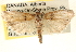  ( - CCDB-22979-F04)  @14 [ ] CreativeCommons - Attribution (2014) CBG Photography Group Centre for Biodiversity Genomics