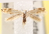  ( - CCDB-22979-H05)  @13 [ ] CreativeCommons - Attribution (2014) CBG Photography Group Centre for Biodiversity Genomics