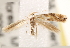  ( - CCDB-22979-H06)  @12 [ ] CreativeCommons - Attribution (2014) CBG Photography Group Centre for Biodiversity Genomics