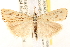  ( - CCDB-22980-E05)  @14 [ ] CreativeCommons - Attribution (2014) CBG Photography Group Centre for Biodiversity Genomics