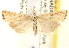  ( - CCDB-22980-E08)  @14 [ ] CreativeCommons - Attribution (2014) CBG Photography Group Centre for Biodiversity Genomics