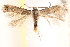  ( - CCDB-23267-A03)  @14 [ ] CreativeCommons - Attribution (2014) CBG Photography Group Centre for Biodiversity Genomics