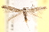  ( - CCDB-23267-A05)  @13 [ ] CreativeCommons - Attribution (2014) CBG Photography Group Centre for Biodiversity Genomics