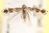  ( - CCDB-23267-A06)  @13 [ ] CreativeCommons - Attribution (2014) CBG Photography Group Centre for Biodiversity Genomics