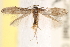  ( - CCDB-23267-A07)  @13 [ ] CreativeCommons - Attribution (2014) CBG Photography Group Centre for Biodiversity Genomics