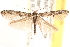  ( - CCDB-23267-B08)  @15 [ ] CreativeCommons - Attribution (2014) CBG Photography Group Centre for Biodiversity Genomics