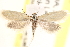  ( - CCDB-23267-C02)  @14 [ ] CreativeCommons - Attribution (2014) CBG Photography Group Centre for Biodiversity Genomics