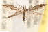  ( - CCDB-23267-G01)  @13 [ ] CreativeCommons - Attribution (2014) CBG Photography Group Centre for Biodiversity Genomics