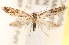  ( - CCDB-23267-G02)  @13 [ ] CreativeCommons - Attribution (2014) CBG Photography Group Centre for Biodiversity Genomics