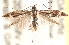  ( - CCDB-23267-H01)  @15 [ ] CreativeCommons - Attribution (2014) CBG Photography Group Centre for Biodiversity Genomics