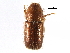  ( - CCDB-28537-A11)  @11 [ ] CreativeCommons - Attribution (2015) CBG Photography Group Centre for Biodiversity Genomics