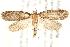  ( - CCDB-28538-C04)  @14 [ ] CreativeCommons - Attribution (2015) CBG Photography Group Centre for Biodiversity Genomics