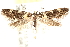  ( - CCDB-28538-C07)  @13 [ ] CreativeCommons - Attribution (2015) CBG Photography Group Centre for Biodiversity Genomics