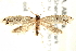  ( - CCDB-28538-C12)  @13 [ ] CreativeCommons - Attribution (2015) CBG Photography Group Centre for Biodiversity Genomics