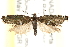  ( - CCDB-28538-E05)  @14 [ ] CreativeCommons - Attribution (2015) CBG Photography Group Centre for Biodiversity Genomics