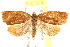  ( - CCDB-28538-G04)  @13 [ ] CreativeCommons - Attribution (2015) CBG Photography Group Centre for Biodiversity Genomics