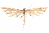  ( - CCDB-28539-B10)  @13 [ ] CreativeCommons - Attribution (2015) CBG Photography Group Centre for Biodiversity Genomics