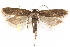  ( - CCDB-28539-F11)  @13 [ ] CreativeCommons - Attribution (2015) CBG Photography Group Centre for Biodiversity Genomics