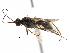  ( - CCDB-28540-H03)  @11 [ ] CreativeCommons - Attribution (2015) CBG Photography Group Centre for Biodiversity Genomics