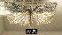  ( - NoA-08-098)  @12 [ ] Unspecified (default): All Rights Reserved  Unspecified Unspecified