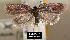  ( - NoA-08-117)  @13 [ ] Unspecified (default): All Rights Reserved  Unspecified Unspecified